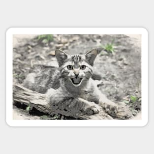 Wild cat Sticker